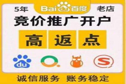百度竞价账户管理工具推荐：实战案例与使用技巧